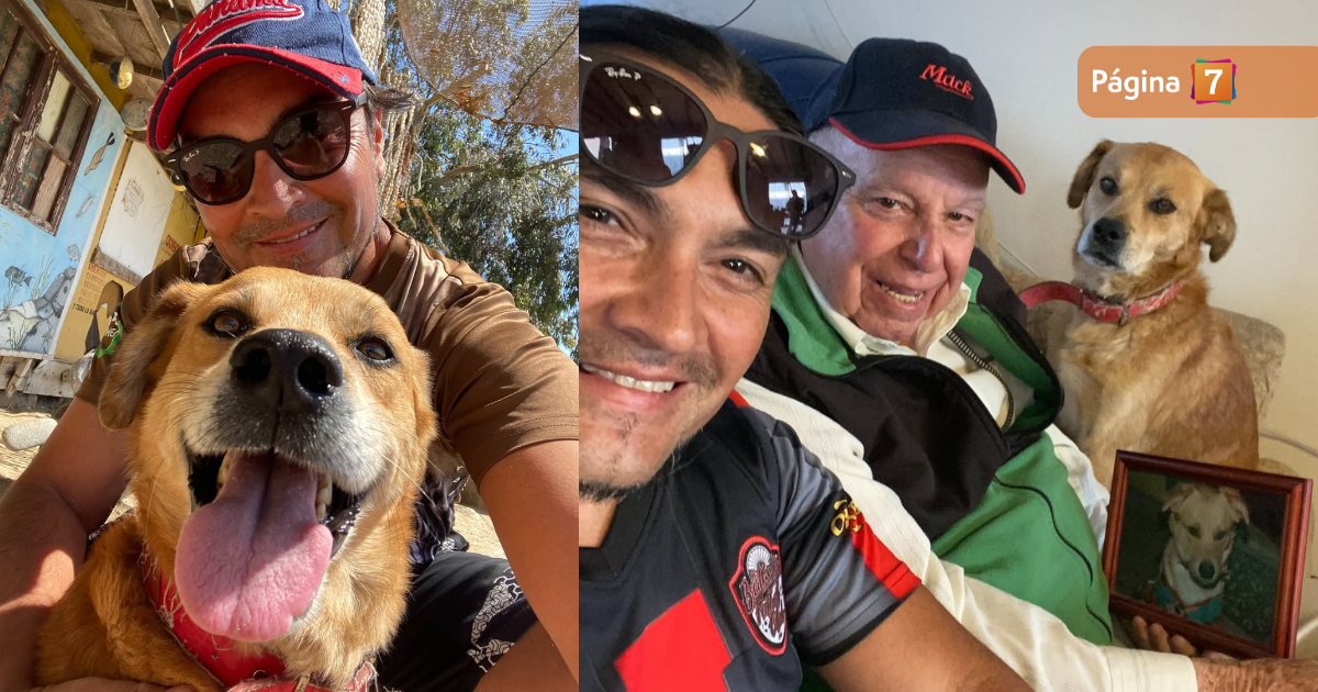 "El perrito es suyo": Luis Andaur hizo llamado a adoptar al recordar conmovedora historia con Bongo