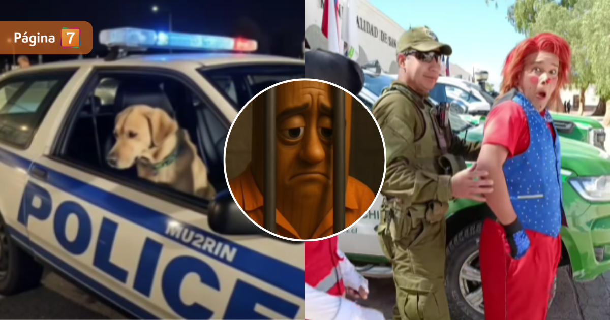 no la polizia origen tiktok