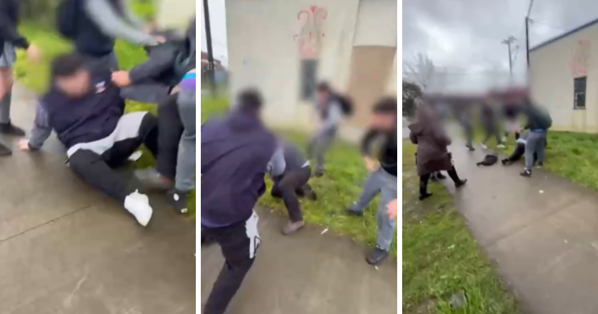 VIDEO | Registran riña entre estudiantes y un micrero en Puerto Montt: joven subió al bus sin TNE