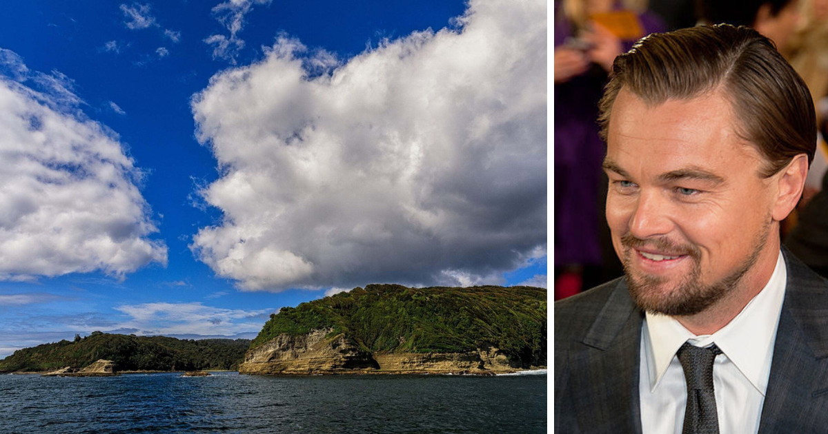 ONG cofundada por Leonardo DiCaprio compró Isla Guafo en Chiloé: buscan hacer un parque nacional