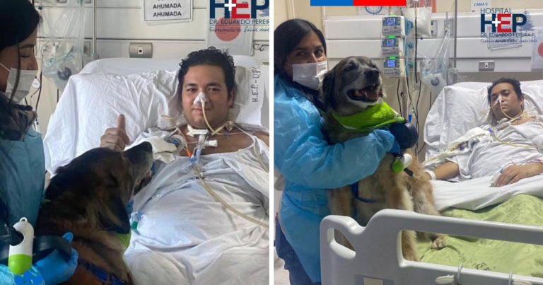 Paciente en UCI se reencontró con su perro tras 45 días internado: 