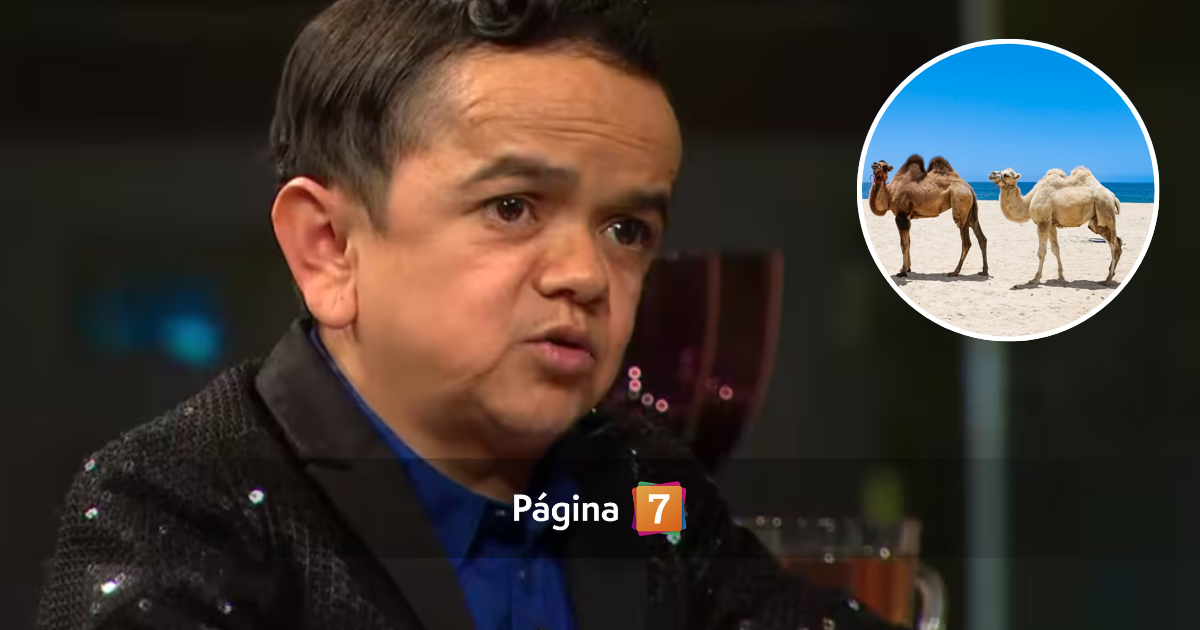 Vale más que yo Miguelito reveló que lo intentaron intercambiar por camellos