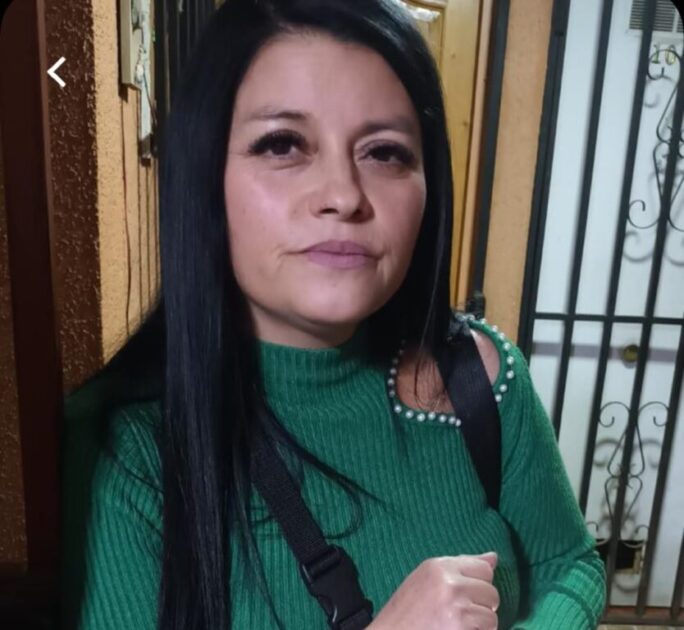 Carmen Reyes, víctima de atropello de bus Red en Pudahuel