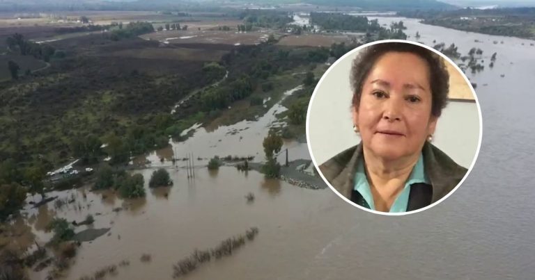¿Quién es María Ignacia González? Concejala de Villa Alegre se encuentra desaparecida tras temporal