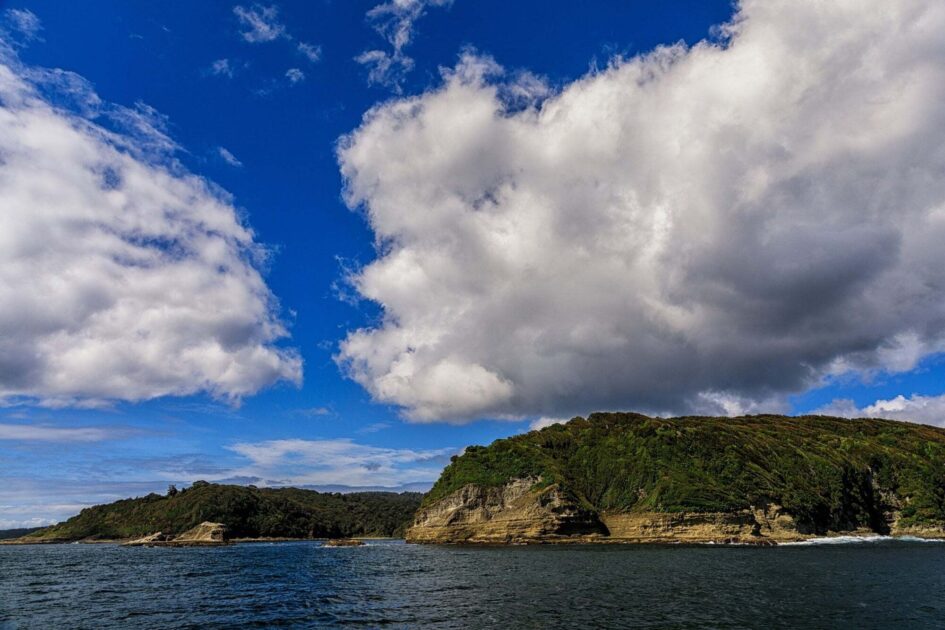 ONG vinculada a Leonardo DiCaprio habría comprado Isla Guafo en Chiloé con intención de convertirla en parque nacional