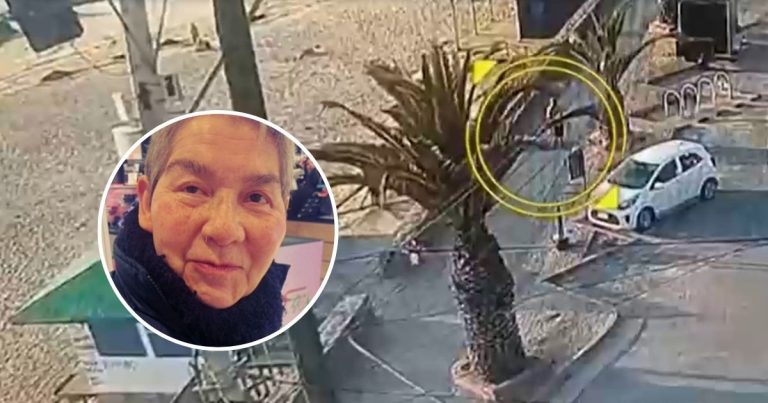 Desaparición de Mónica Yáñez: encuentran pertenencia de adulta mayor que podría ser clave en el caso