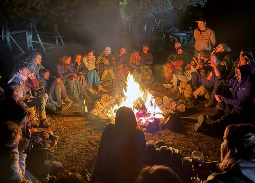 'El clan' termina como uno de los programas más vistos del año: ¿Hay segunda temporada?