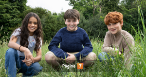 Cuántos episodios tendrá Harry Potter