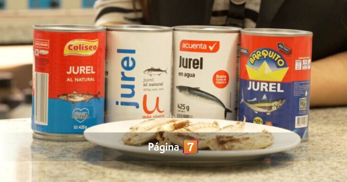 La mitad del jurel en conserva de Chile sería falso 30 millones de tarros y 4 marcas bajo sospecha