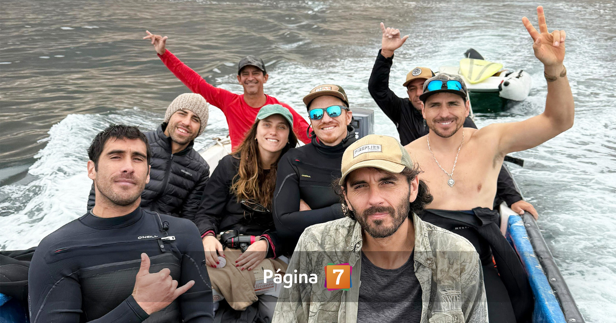 Pangal bucea durante sismo
