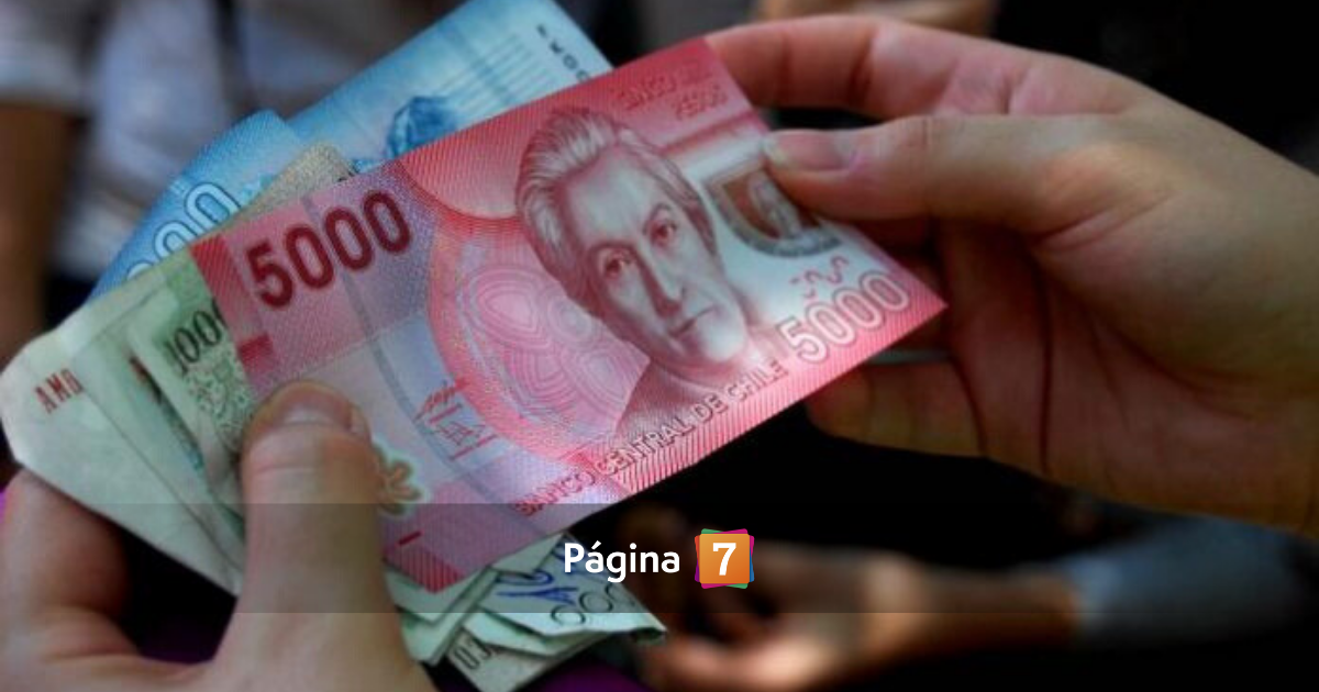 Pase Cultural más de 300 mil chilenos recibirán particular beneficio de 50 mil pesos