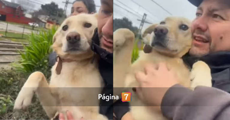 Perrita Lucía ya regresó a su casa en Concepción: así fue el reencuentro con su familia