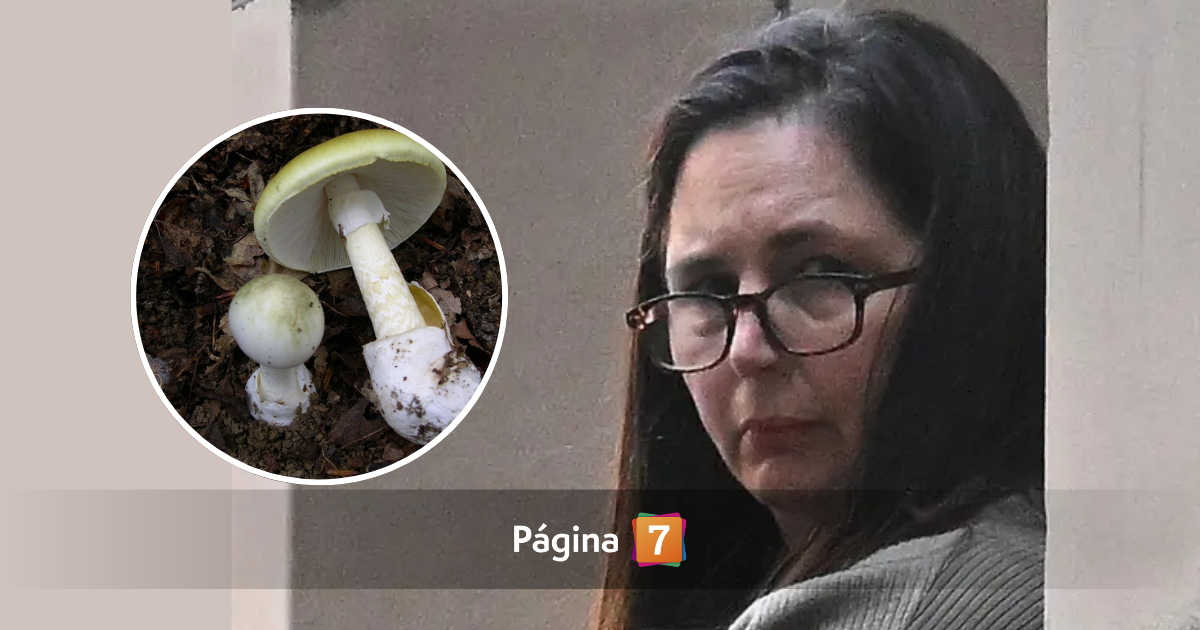 Mujer asesinó a sus familiares tras darles un almuerzo con hongos tóxicos: un médico la descubrió