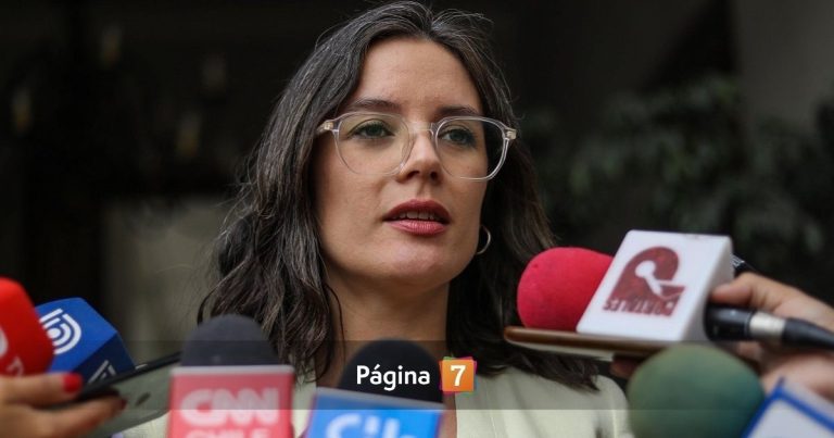 Camila Vallejo volvió a La Moneda tras postnatal: ¿por qué regresó dos semanas antes de lo previsto?