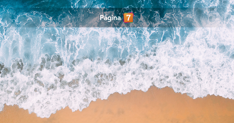 Pensó que era un regalo navideño extraviado: hombre hizo tenebroso hallazgo en playa