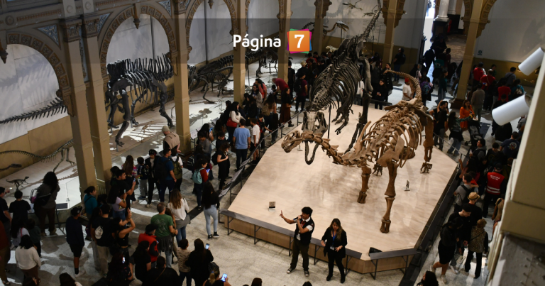 Muestra de Dinosaurios en Museo de Historia Natural: conoce los horarios