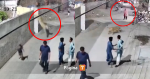 VIDEO | León mascota escapó, saltó de un muro y atacó a una mujer y dos niños en Pakistán