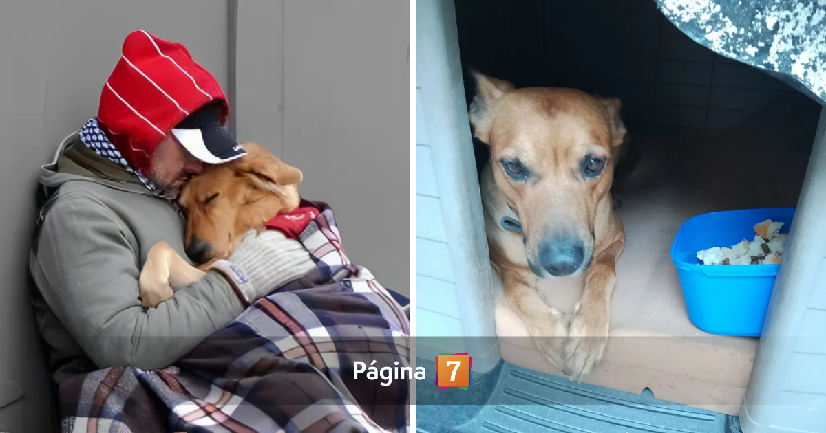 Hombre que vivía en la calle y murió de frío por no abandonar a su perro: "Ahora duerme calentito"
