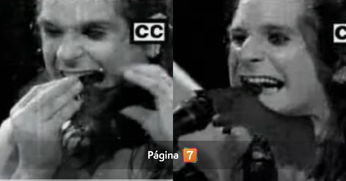 La vez que Ozzy Osbourne le sacó la cabeza a un murciélago de un mordisco durante un concierto