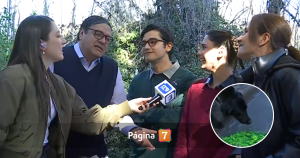 ¿Se volverá cachorro? Perrito protagonizó cómico momento al infiltrarse en pozones de Aguas de Oro