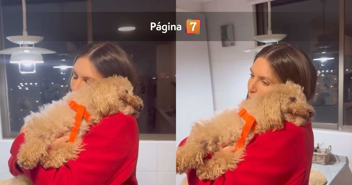 perrito eugenia lemos