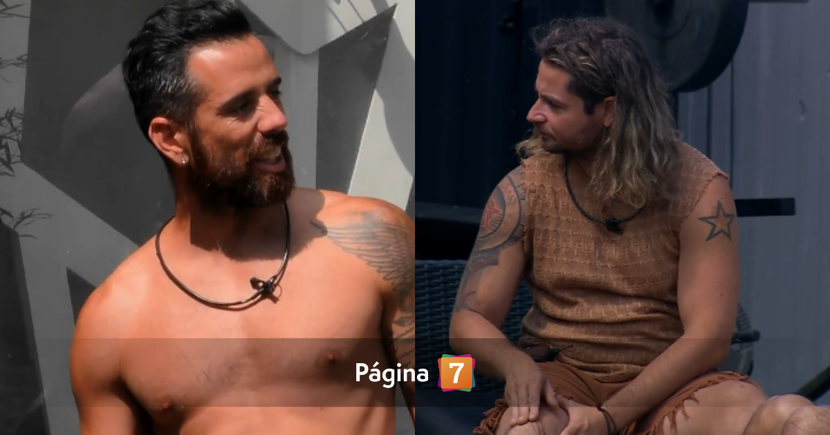 princeso ninguneo a daúd gazale