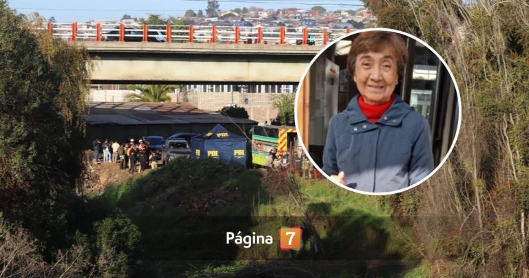 Entregan inéditos detalles sobre hallazgo del cuerpo de profesora desaparecida en San Antonio