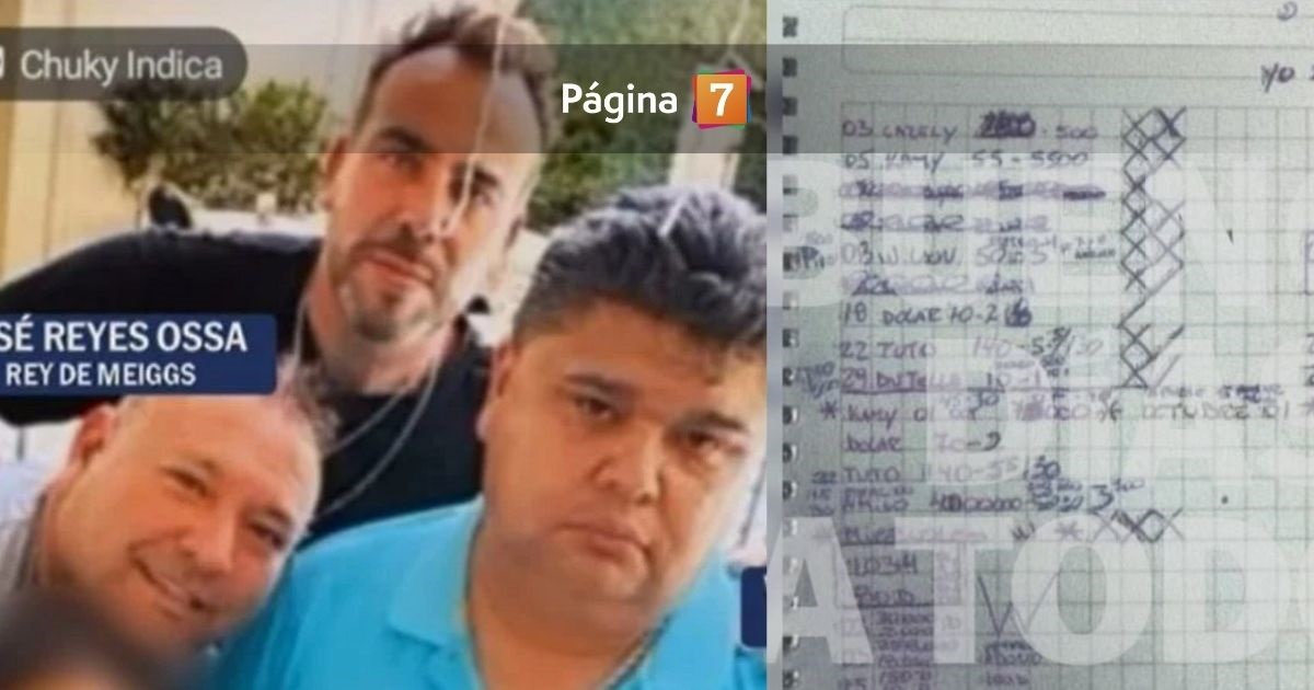 Revelan que conocido artista figura entre los deudores del 'Rey de Meiggs'