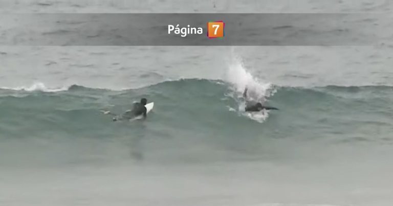 ¡Insólito! Captan a surfistas en pleno mar de Reñaca pese a alerta de tsunami en Chile