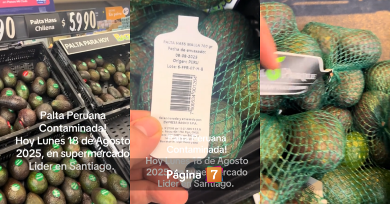 Palta peruana en la mira: investigan carga contaminada con cadmio, un metal pesado y cancerígeno