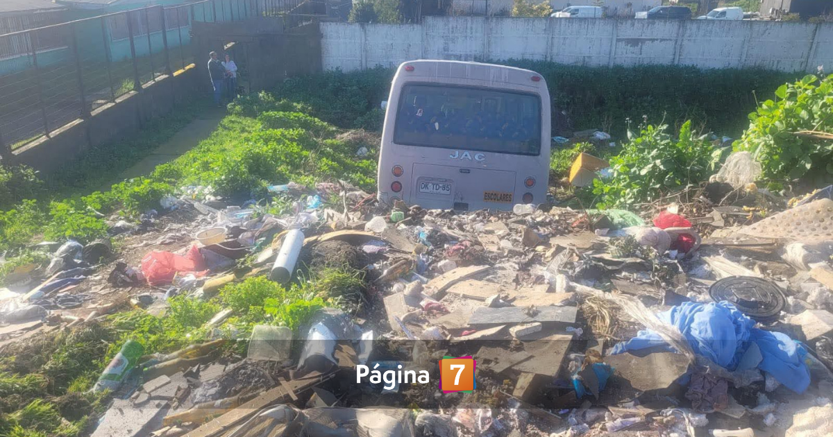 Bus con 26 escolares a bordo cae desde una cuesta en Coronel