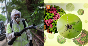 Alerta por el chikungunya: ¿de qué se trata el virus que se propaga con más de 8 mil casos en China?