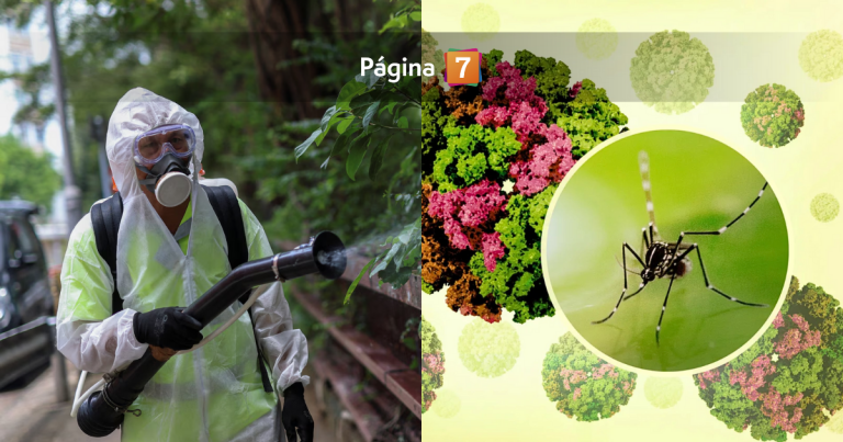 Alerta por el chikungunya: ¿de qué se trata el virus que se propaga con más de 8 mil casos en China?