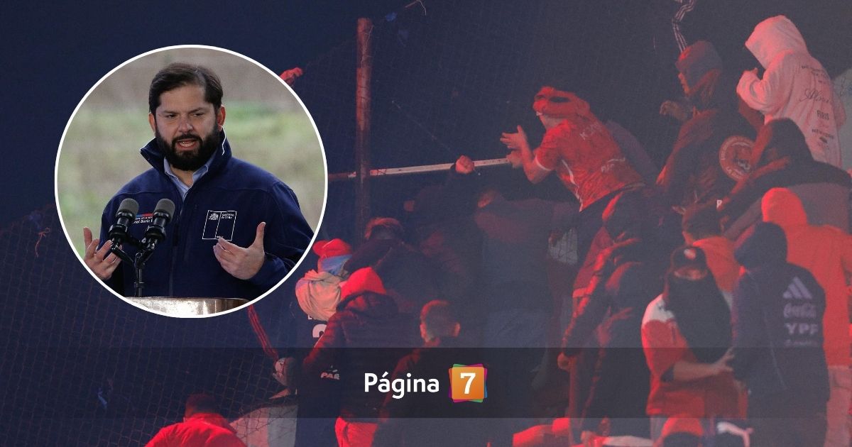 boric hinchas de la u