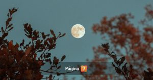 Luna del esturión y lluvia de estrellas: cuándo ver el fenómeno astronómico más esperado de agosto