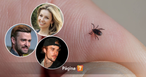 ¿Qué es el Lyme? la enfermedad "de los famosos" que se transmite por la picadura de una garrapata