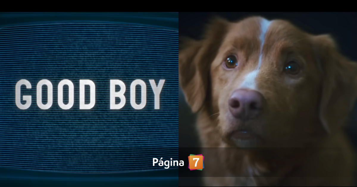 ¿muere el perro? La pregunta que se disparó por película Good Boy