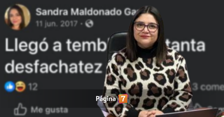 Seremi de Aysén renuncia tras ser cuestionada por publicar memes en contra de Piñera: duró un día