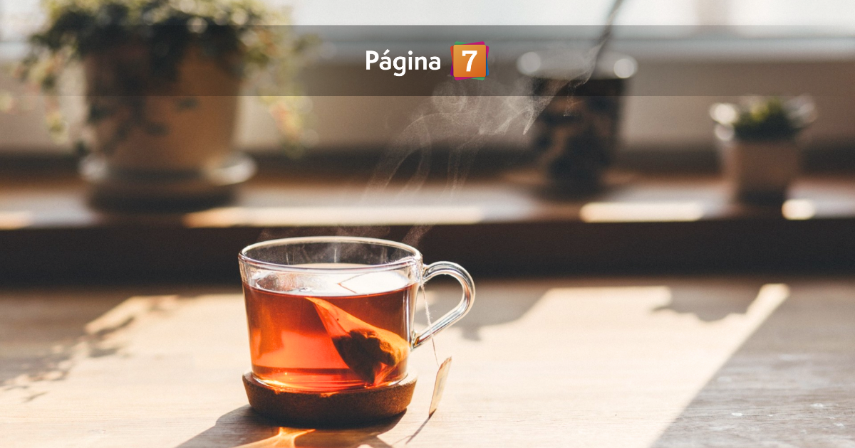 cuántas veces se puede reutilizar la bolsita de té