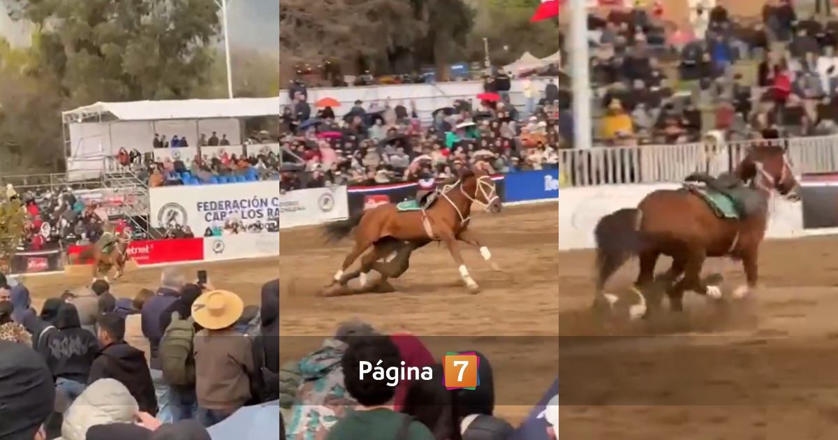 Actualizan estado de salud de Carabinero sufrió caída y fue arrastrado por caballo en Padre Hurtado