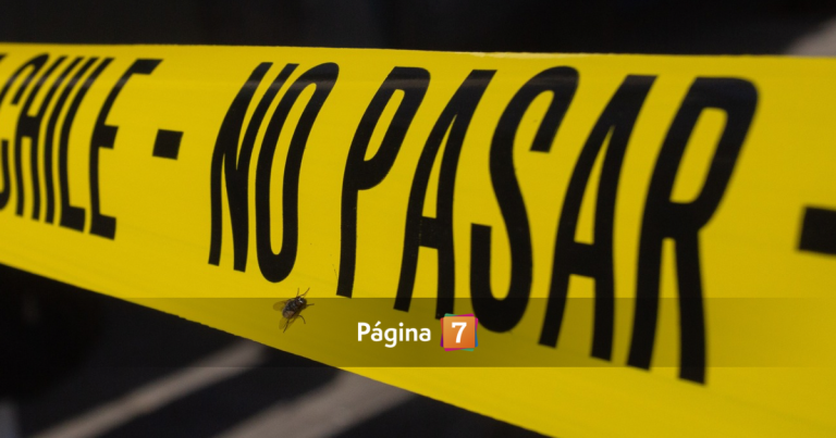 Carabinero de civil frustra asalto en bus del Transantiago: un delincuente muerto y dos prófugos