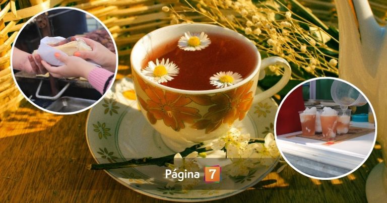 Revelan las hierbas más efectivas contra el malestar post Fiestas Patrias ¿Las conoces?