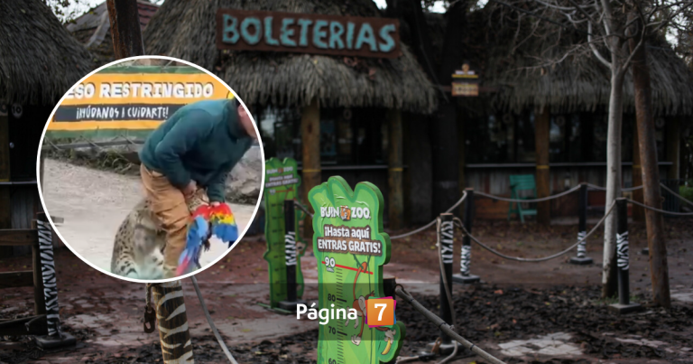 Visitantes que presenciaron ataque de serval a guacamayo en Buin Zoo: 