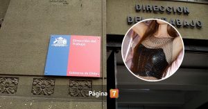 Funcionaria de la Dirección del Trabajo denunció ser destituida por vender contenido en Arsmate