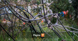 Funcionarios de Maipú fueron sorprendidos robando cables