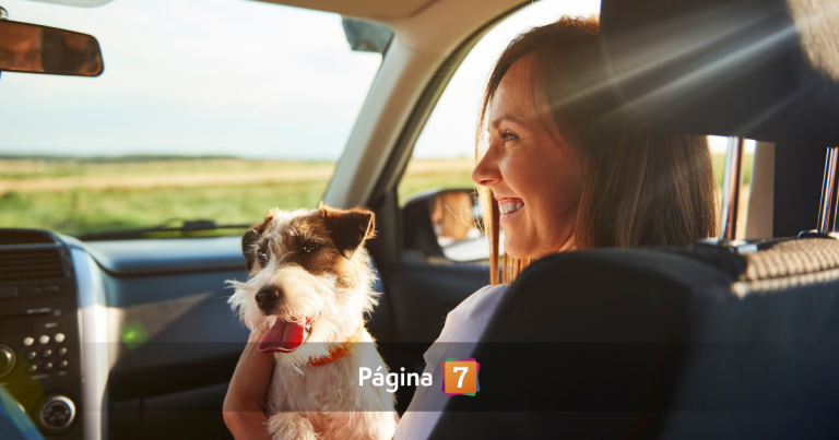 ¿Viajas con tu mascota en Fiestas Patrias? Evita multas y sigue los consejos para un traslado seguro