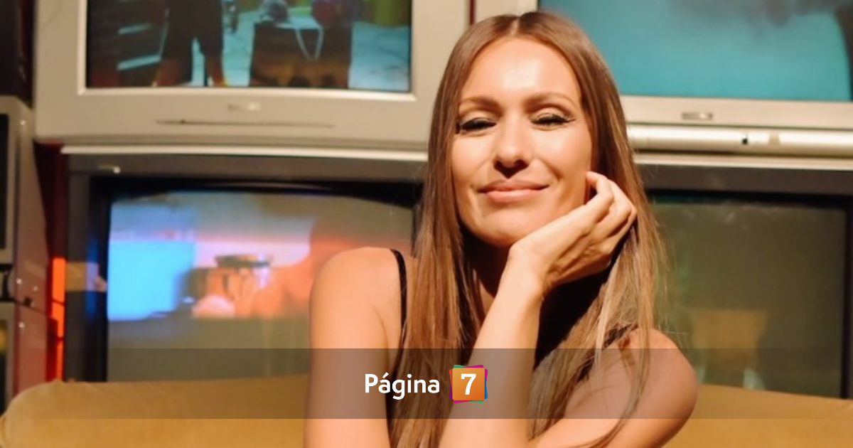 Detienen a autores de robo en casa de Pampita: 6 son chilenos