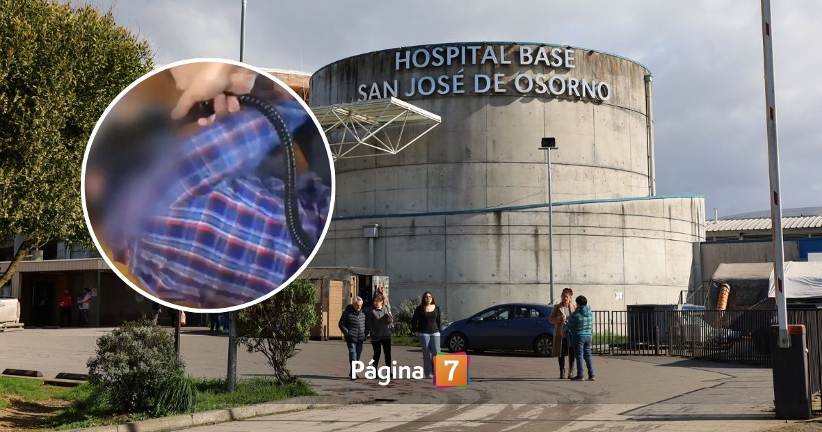 Revelan los millonarios sueldos de los funcionarios acusados de torturas en el Hospital de Osorno