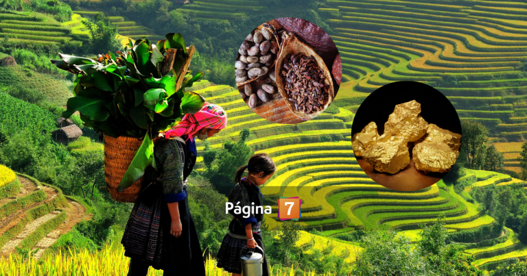 Diez descubrimientos en América que dejaron atónitos a los europeos