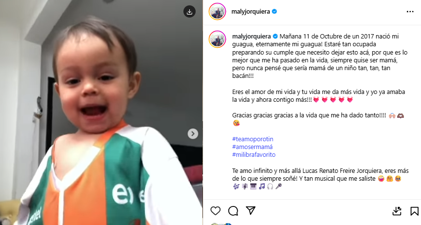 Sergio Freire y Maly Jorquiera festejaron los 8 años de su hijo
